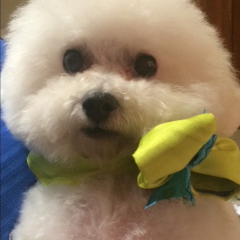 Meet your Posher, Beth